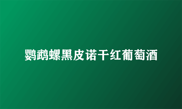 鹦鹉螺黑皮诺干红葡萄酒