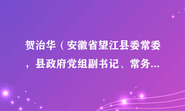 贺治华（安徽省望江县委常委，县政府党组副书记、常务副县长，县总工会主席）