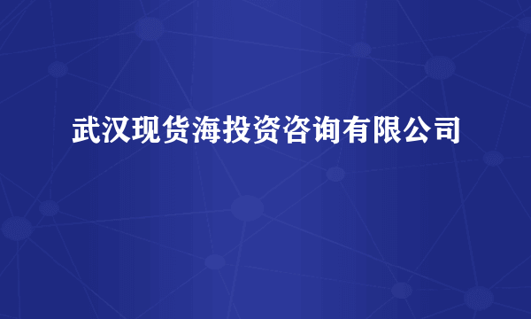 武汉现货海投资咨询有限公司
