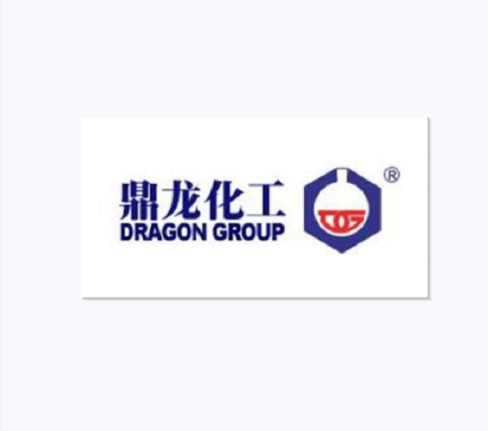 浙江鼎龙化工有限公司