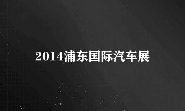 2014浦东国际汽车展