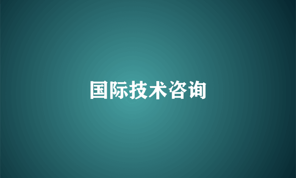 国际技术咨询