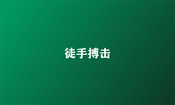 徒手搏击