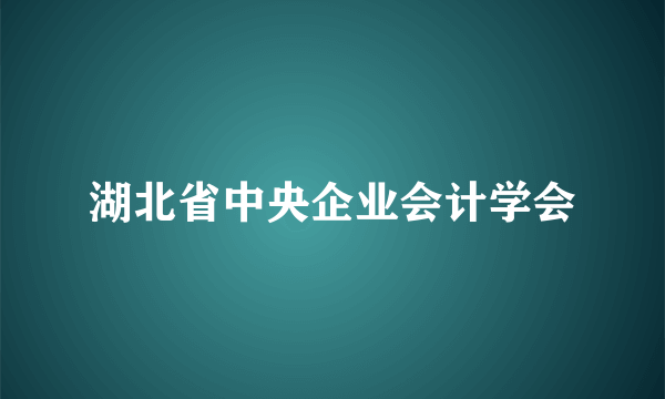 湖北省中央企业会计学会