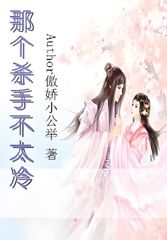 那个杀手不太冷