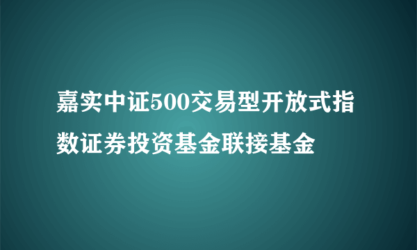 嘉实中证500交易型开放式指数证券投资基金联接基金