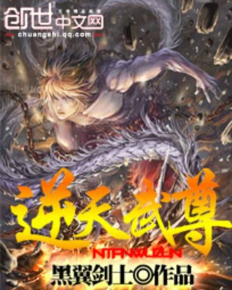 逆天武尊（黑翼剑士创作的网络小说）