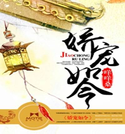 娇宠令（夜惠美创作的网络小说）