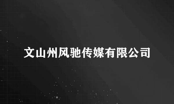 文山州风驰传媒有限公司