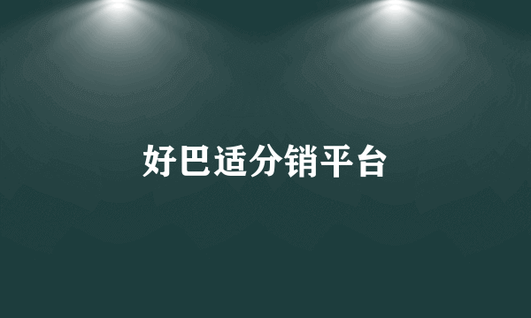 好巴适分销平台