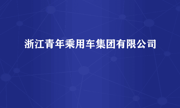 浙江青年乘用车集团有限公司