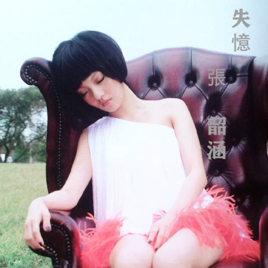 失忆（2007年张韶涵演唱歌曲）