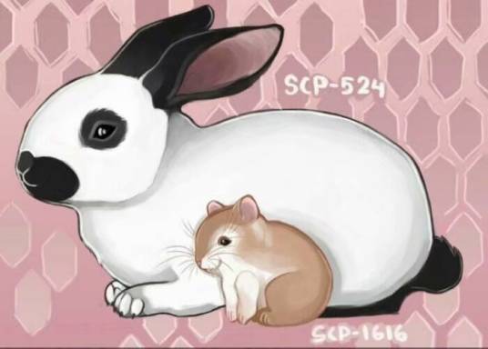 SCP-524