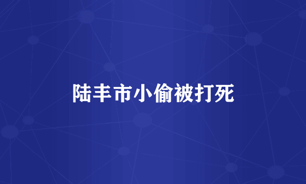 陆丰市小偷被打死