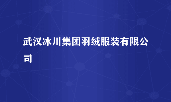 武汉冰川集团羽绒服装有限公司
