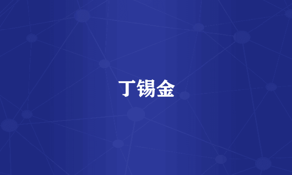 丁锡金
