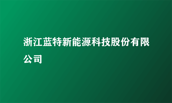 浙江蓝特新能源科技股份有限公司