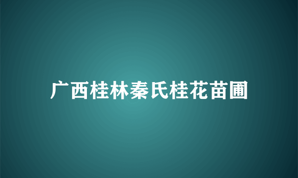 广西桂林秦氏桂花苗圃