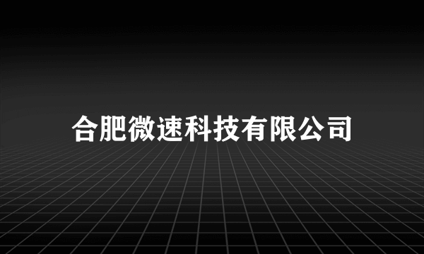 合肥微速科技有限公司