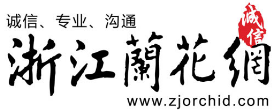 浙江兰花网