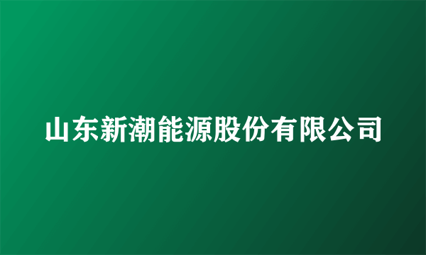 山东新潮能源股份有限公司