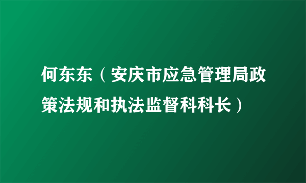何东东（安庆市应急管理局政策法规和执法监督科科长）