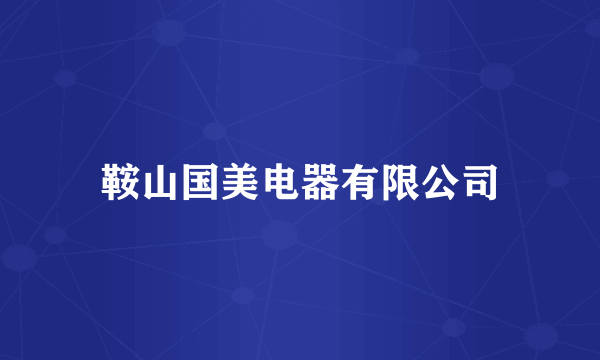 鞍山国美电器有限公司