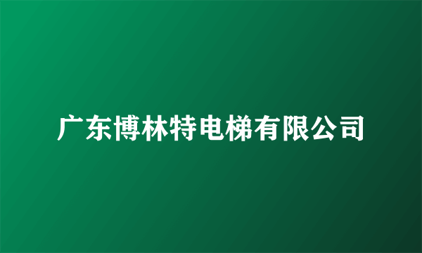 广东博林特电梯有限公司