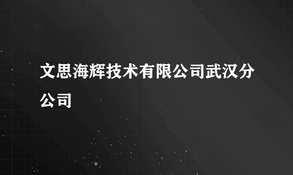 文思海辉技术有限公司武汉分公司