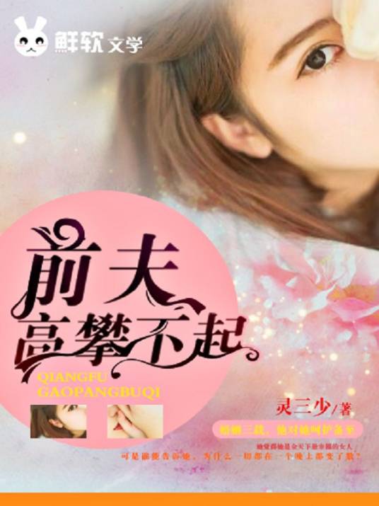 前夫，高攀不起