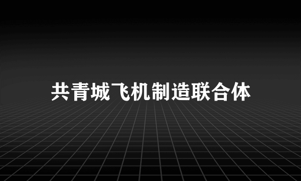 共青城飞机制造联合体