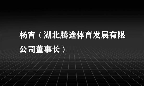 杨宵（湖北腾途体育发展有限公司董事长）