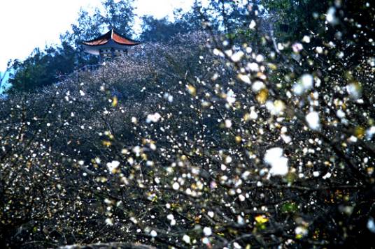 流溪河国家森林公园景区