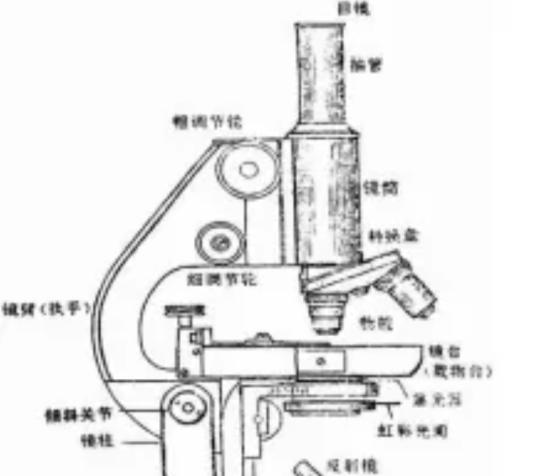 普通光学显微镜