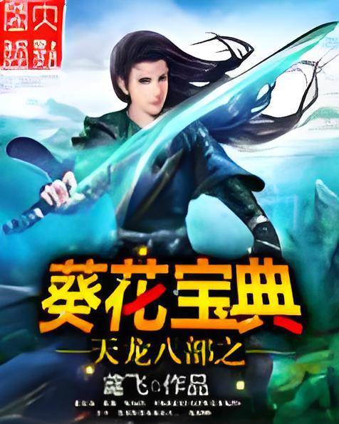 天龙八部之葵花宝典