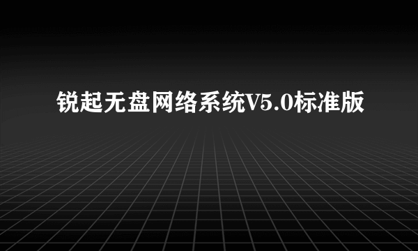 锐起无盘网络系统V5.0标准版