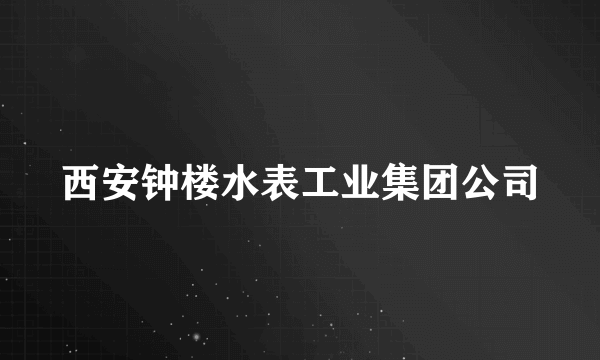 西安钟楼水表工业集团公司