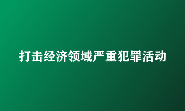 打击经济领域严重犯罪活动
