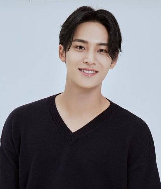 金珉奎（韩国男歌手、男子演唱组合SEVENTEEN成员和分队HIPHOP TEAM成员）