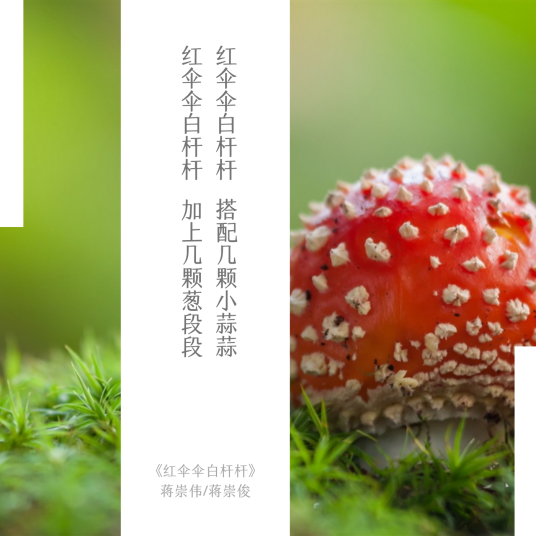 红伞伞白杆杆（蒋崇伟蒋崇俊演唱歌曲）