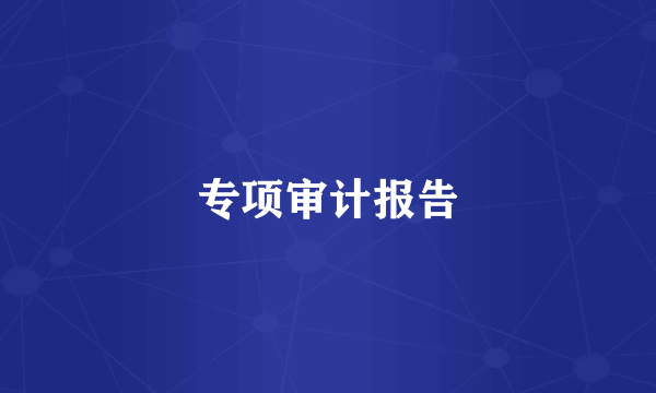 专项审计报告