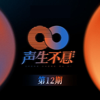 我和我的祖国（2022年声生不息群星演唱歌曲）