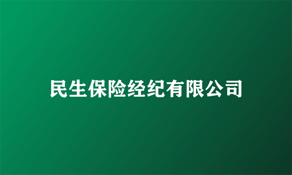 民生保险经纪有限公司