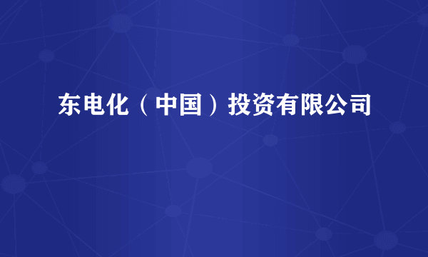 东电化（中国）投资有限公司