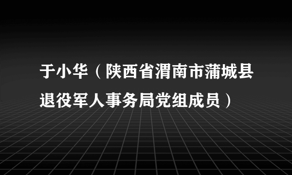 于小华（陕西省渭南市蒲城县退役军人事务局党组成员）