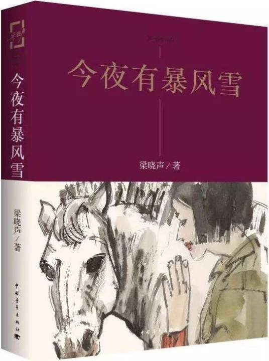今夜有暴风雪（梁晓声著中篇小说）