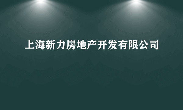 上海新力房地产开发有限公司