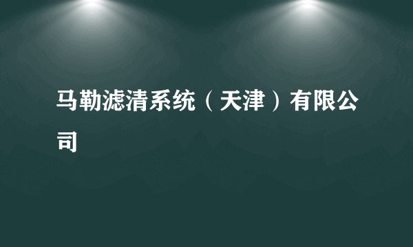 马勒滤清系统（天津）有限公司