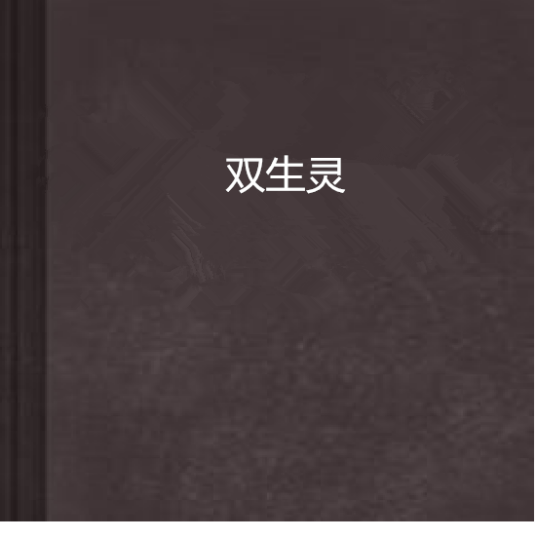 双生灵（执砂创作的网络小说）