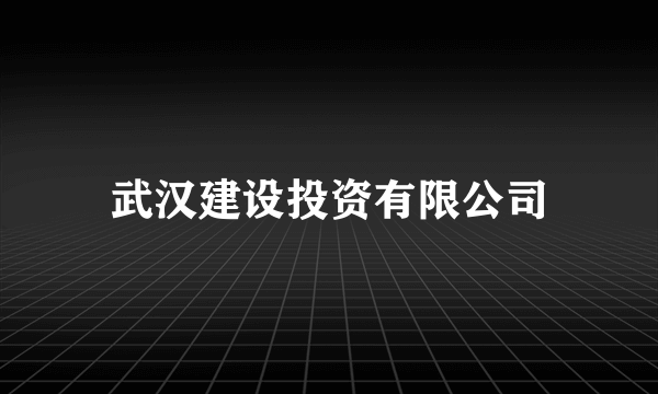 武汉建设投资有限公司